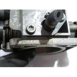 Fiat - Palio - Throttle body