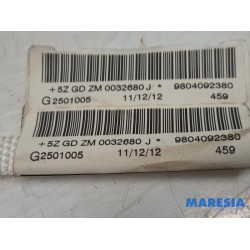 Peugeot - 208 - Airbag hemel links