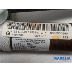 Peugeot - 508 - Roof curtain airbag, left