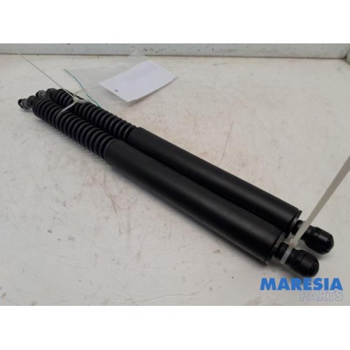 Peugeot - 307 - Set of tailgate gas struts
