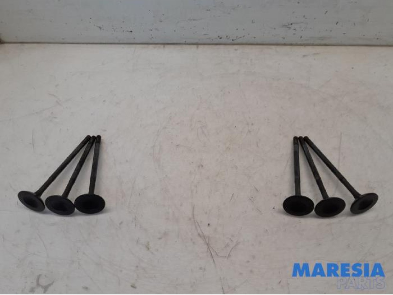 Renault - Scenic - Induction valve