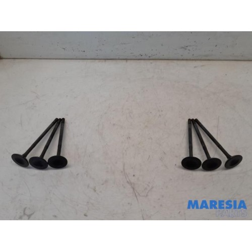 Renault - Scenic - Induction valve