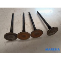Peugeot - Expert - Induction valve