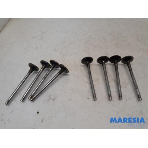 Peugeot - Expert - Induction valve