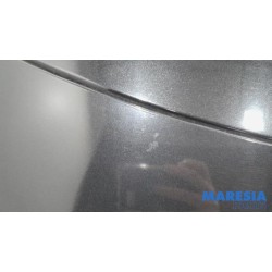 Renault - Megane - Heckklappe