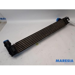 Renault - Megane - Intercooler