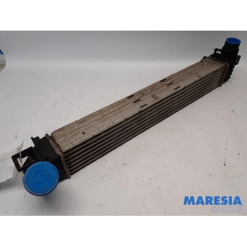 Renault - Megane - Intercooler