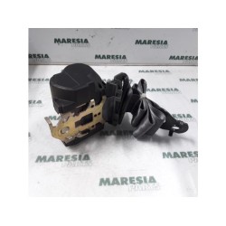 Renault - Clio - Sicherheitsgurt links hinten