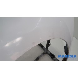 Renault - Kangoo - Scherm links-voor