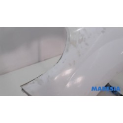 Renault - Kangoo - Scherm links-voor