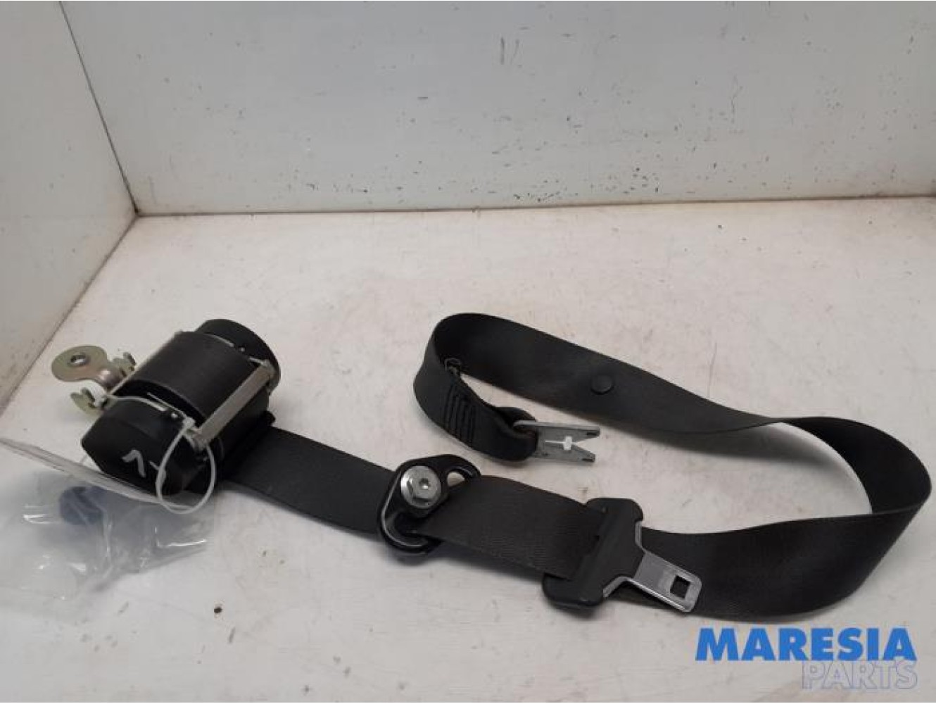 Renault - Grand Scenic - Ceinture de sécurité avant gauche