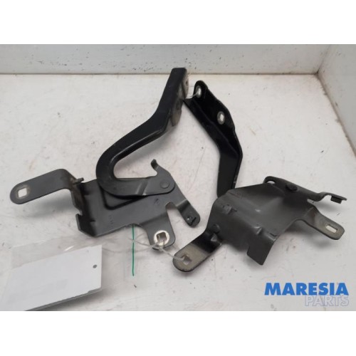 Renault - Clio - Bonnet Hinge