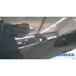 Renault - Megane - Tür 4-türig links vorne