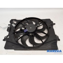 Renault - Clio - Kühlgebläse Motor