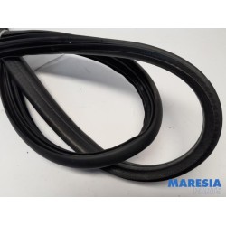 Renault - Clio - Front door seal 4-door, right