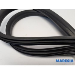 Renault - Clio - Front door seal 4-door, right