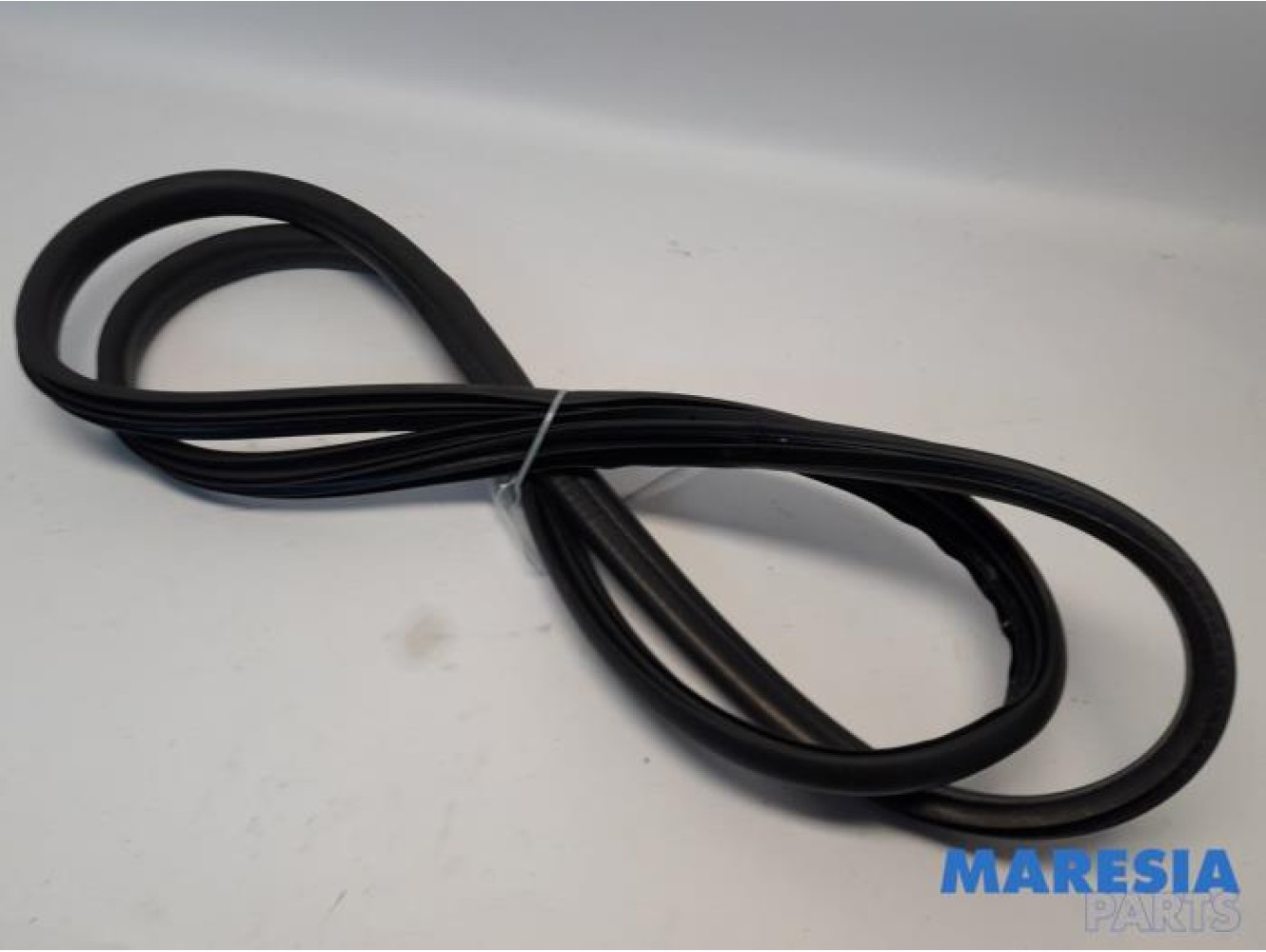 Renault - Clio - Front door seal 4-door, right