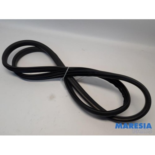 Renault - Clio - Front door seal 4-door, right