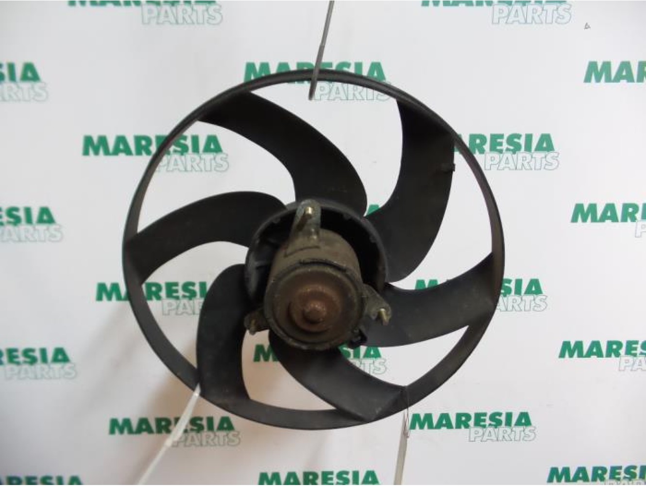 Citroen - Berlingo - Fan motor