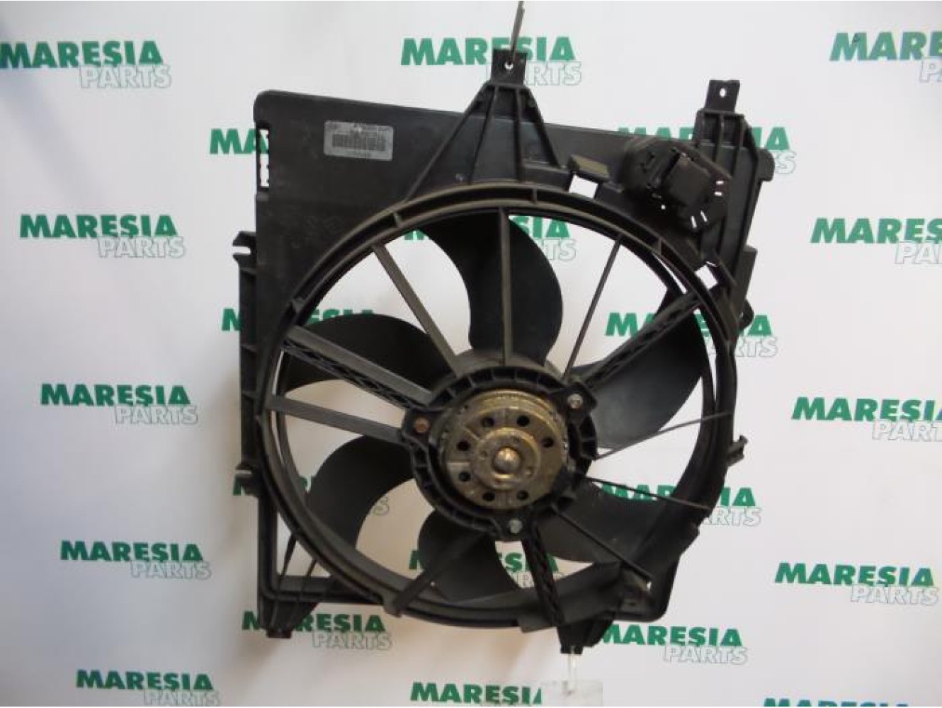 Renault - Clio - Kühlgebläse Motor
