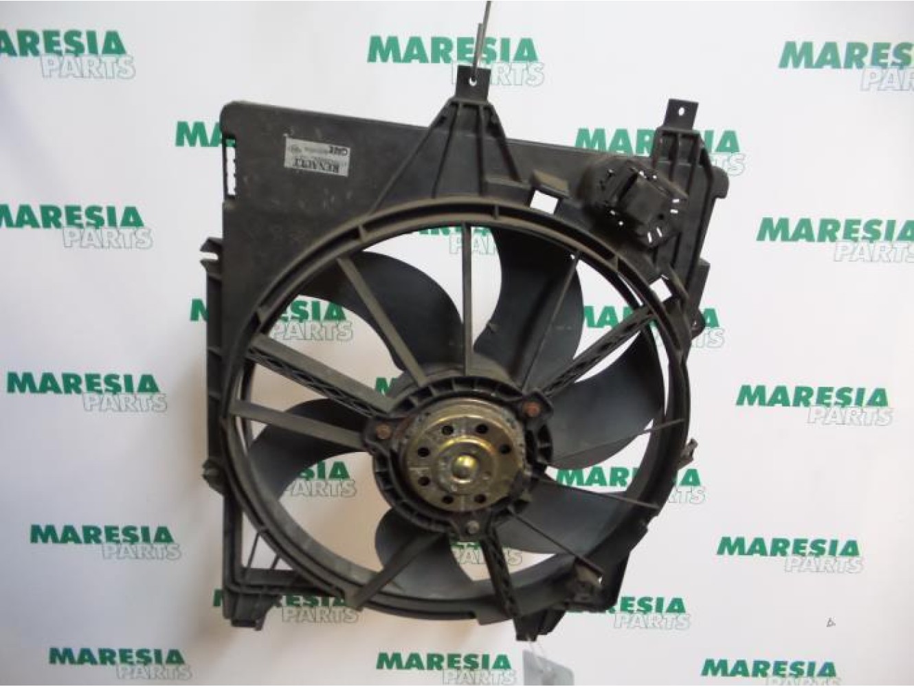 Renault - Clio - Kühlgebläse Motor