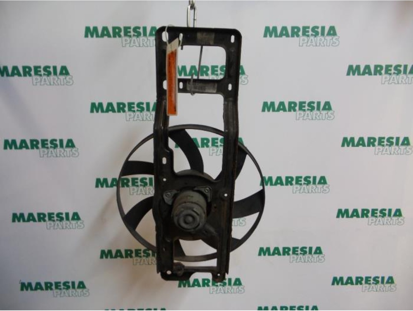 Renault - Clio - Kühlgebläse Motor