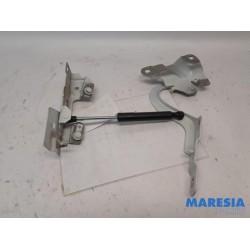 Renault - ZOE - Bonnet Hinge