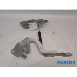 Renault - ZOE - Bonnet Hinge