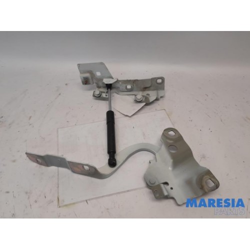 Renault - ZOE - Bonnet Hinge
