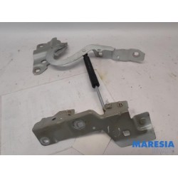 Renault - ZOE - Bonnet Hinge