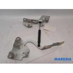 Renault - ZOE - Bonnet Hinge