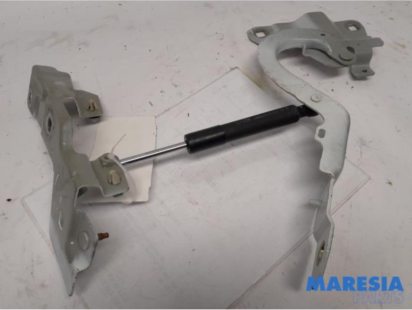 Renault - ZOE - Bonnet Hinge