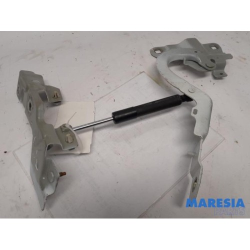 Renault - ZOE - Bonnet Hinge