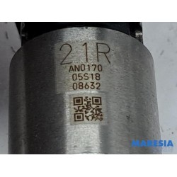 Renault - Captur - Injector (benzine injectie)