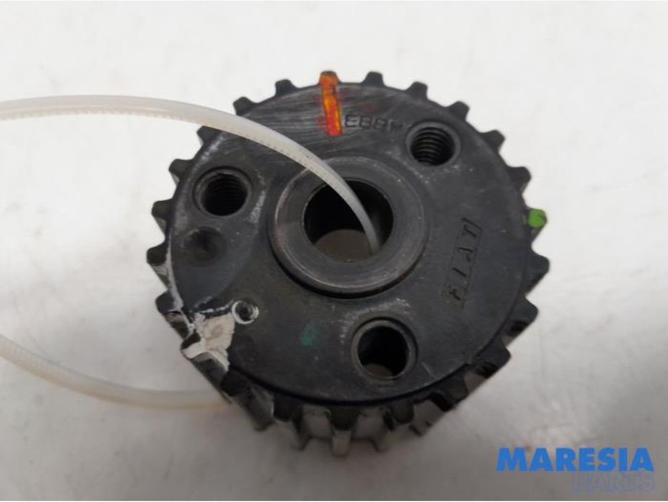 Fiat - Panda - Crankshaft sprocket