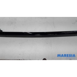 Citroen - C4 Cactus - Dachreling Set
