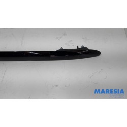 Citroen - C4 Cactus - Dachreling Set