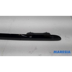 Citroen - C4 Cactus - Dachreling Set