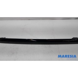 Citroen - C4 Cactus - Dachreling Set