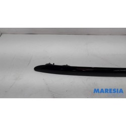 Citroen - C4 Cactus - Dachreling Set
