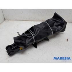Renault - Grand Scenic - Ensemble cric
