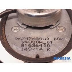 Peugeot - 208 - Antenne