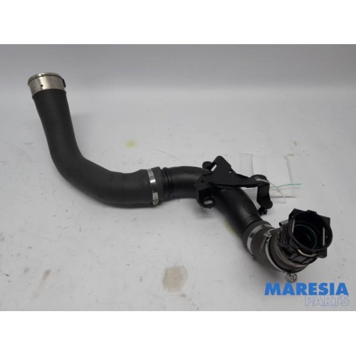 Renault - Clio - Intercooler hose