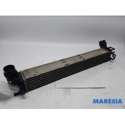 Renault - Megane - Intercooler