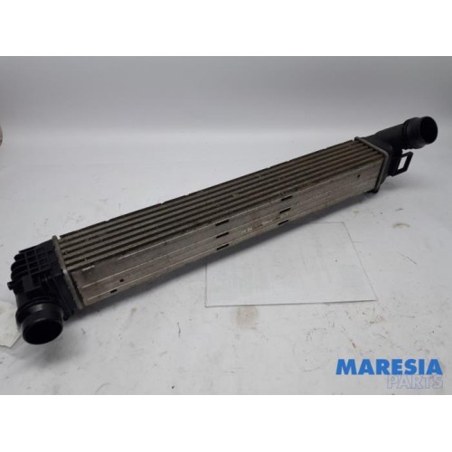 Renault - Megane - Intercooler
