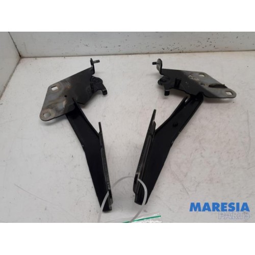 Renault - Megane - Bonnet Hinge