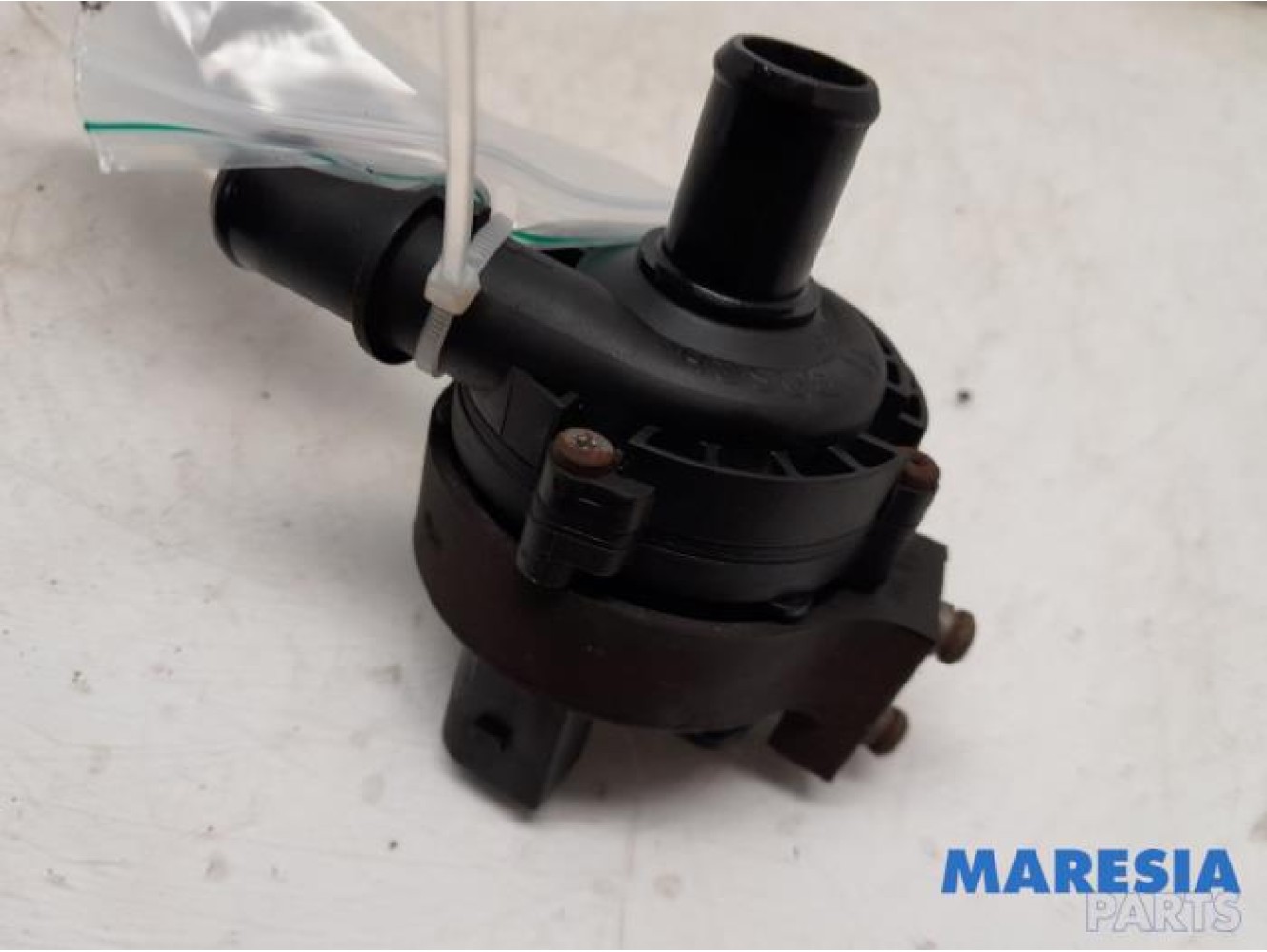 Renault - Grand Scenic - Waterpomp