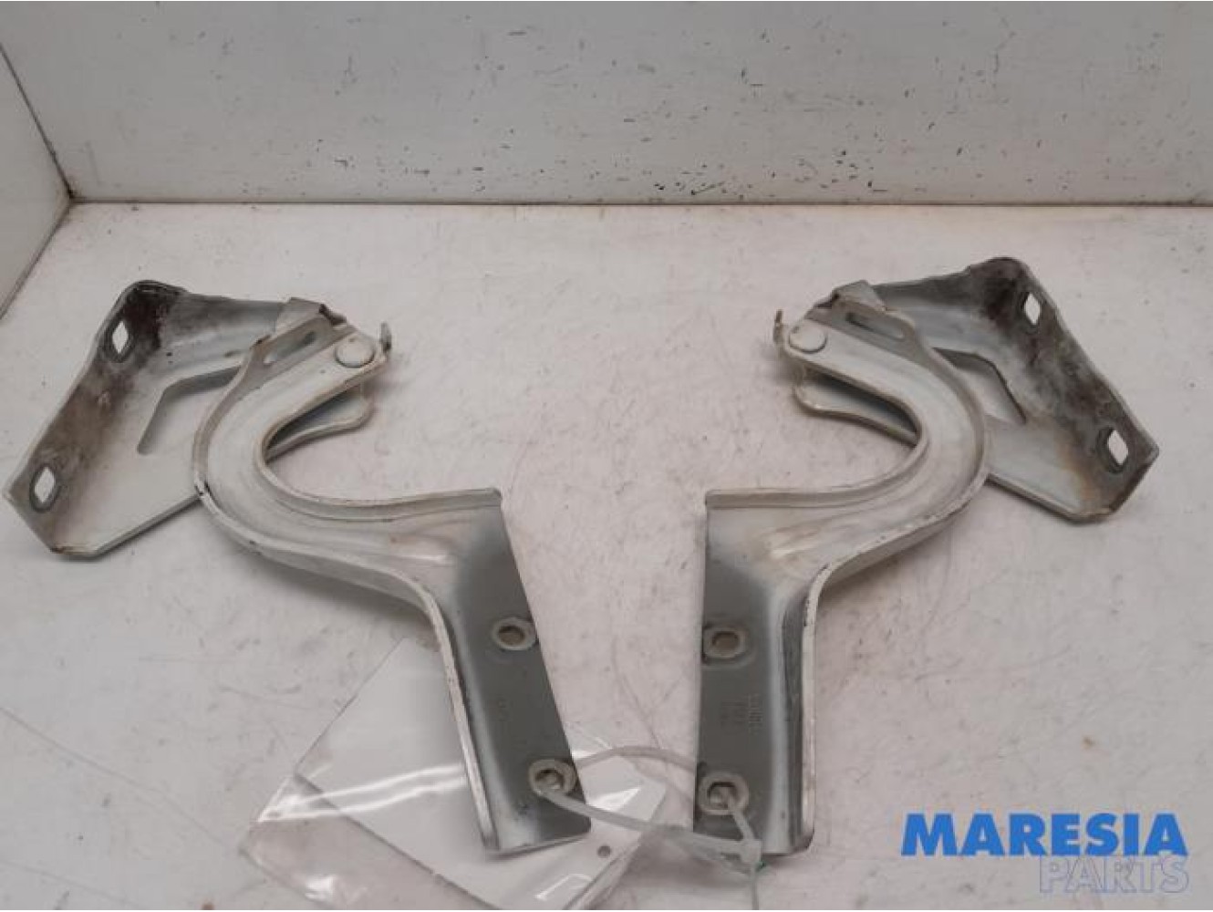 Fiat - Doblo - Bonnet Hinge