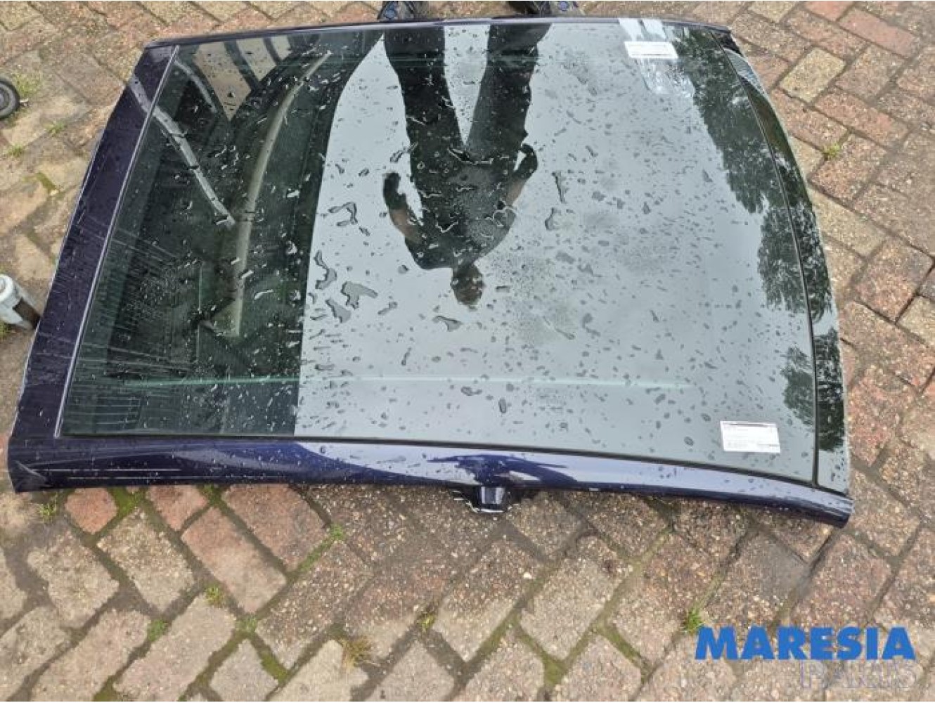Peugeot - 308 - Panoramadak
