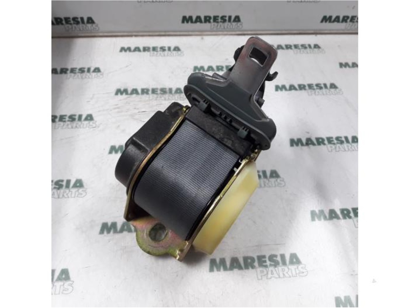 Renault - Megane - Sicherheitsgurt links hinten